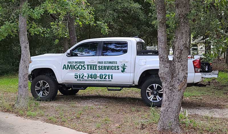 Amigos Tree Wrapped Truck